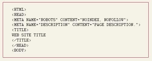 robots-meta-tag-example